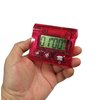 Sper Scientific Large Display Bench Timer 810028